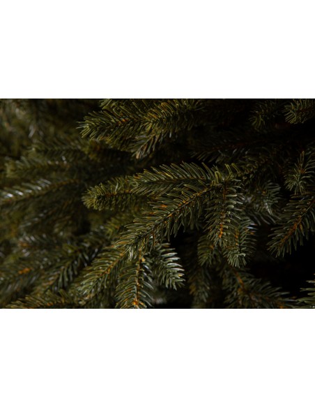 Bonali Prestige egle