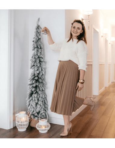 Lumega kaetud Tatra kuusk