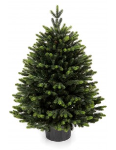 Egle Sorris podiņā