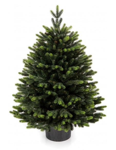 Švyrk Sorris vazonas