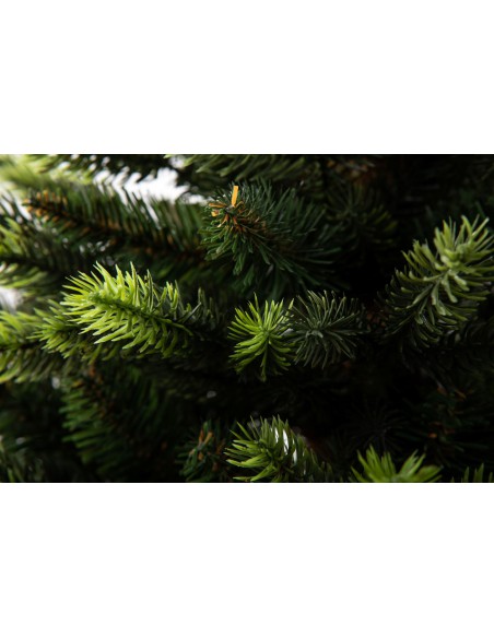 Švyrk Sorris vazonas