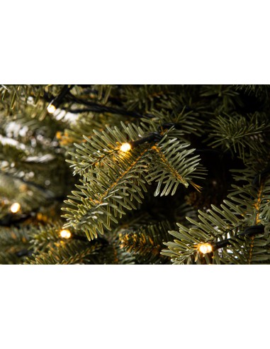 Tavra Prestige LED egle