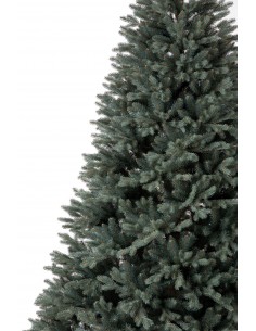 Hõbe-kuusk Avilla 2