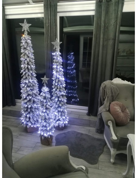 Sniegotais Tatra egle