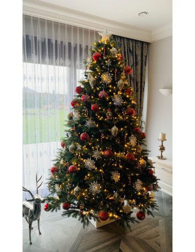 Tesira Prestige egle