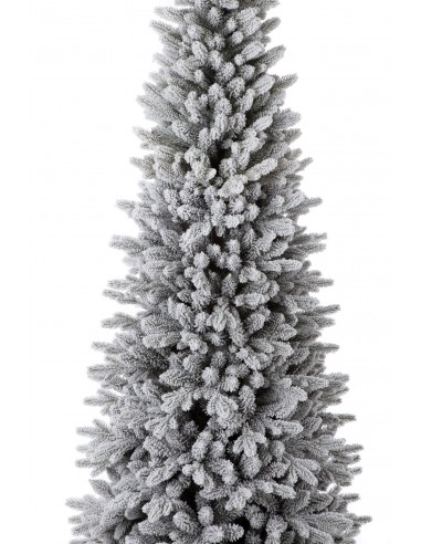 Snieguotas Naturi eglė