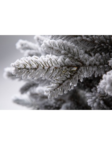 Snieguotas Naturi eglė