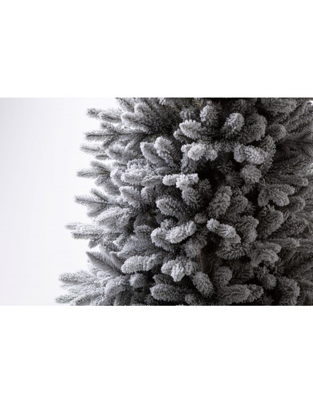 Snieguotas Naturi eglė