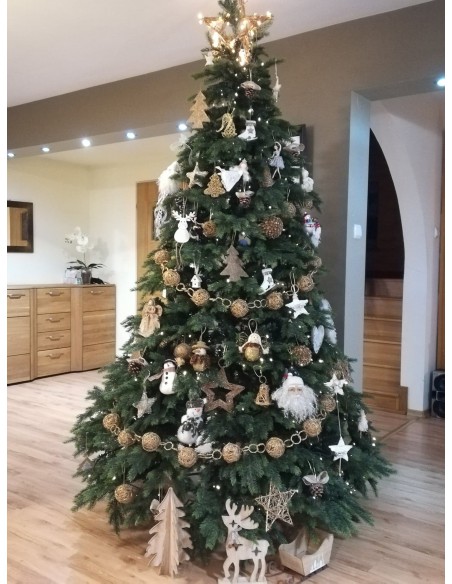 Sulankstoma eglutė - Tesiria eglė - e-choinki.pl