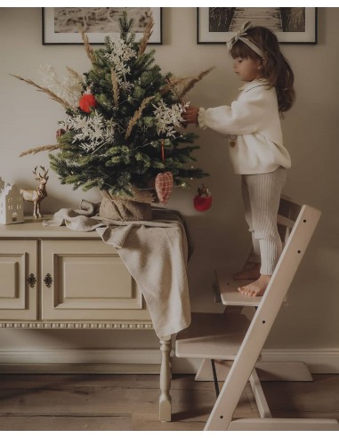 Švyrk Sorris vazonas