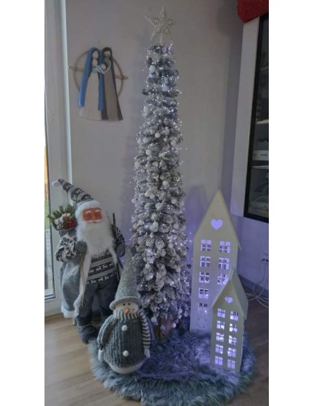 Sniegotais Tatra egle