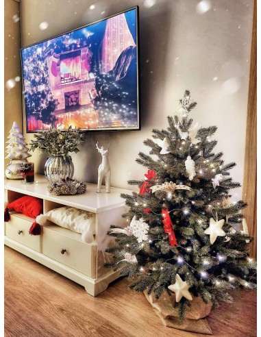 Bonali kuusk pottides