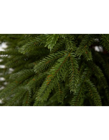 Sinaro luksusa egle 100% PE