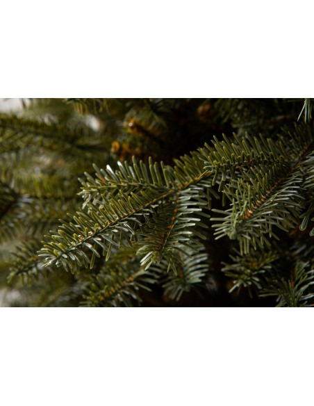 Tavra Prestige kuusk