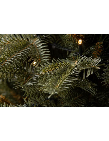 Tavra Prestige LED egle