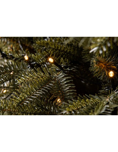 Tavra Prestige LED egle