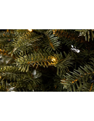 Tavra Prestige LED egle