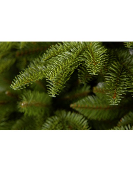 Antares Prestige kuusk