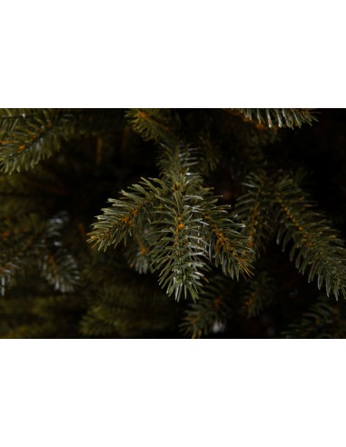 Bonali Prestige egle