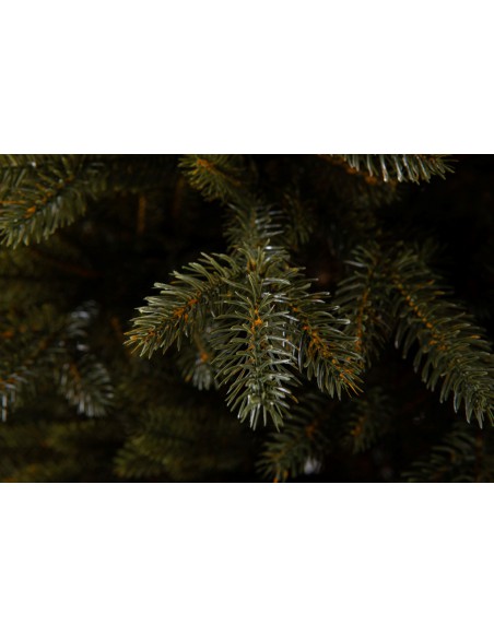 Bonali Prestige egle