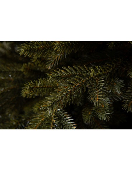 Bonali Prestige egle