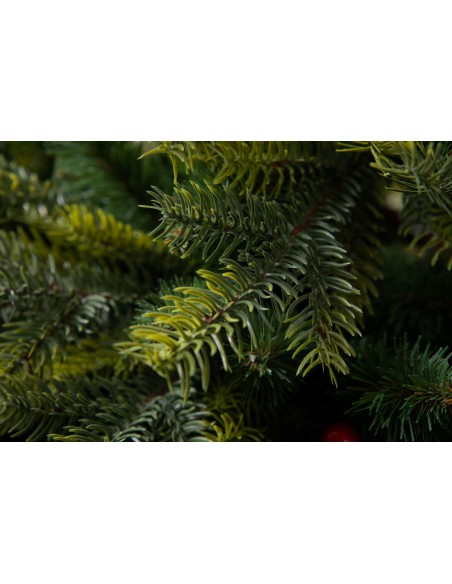 Tesiria Prestige kuusk