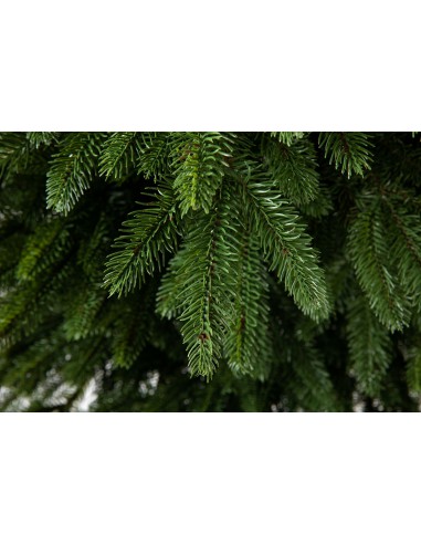 Nevis luksusa egle 100% PE