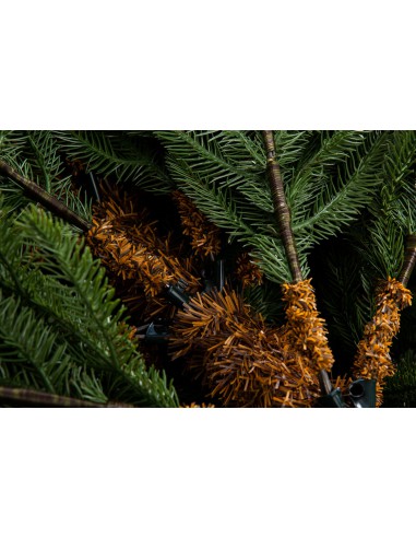 Nevis Luxury 100% PE