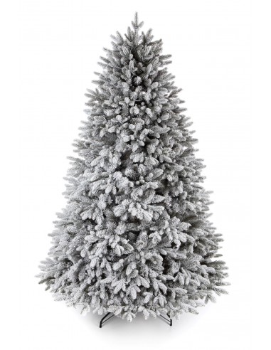 Sniegotā Lavinia egle