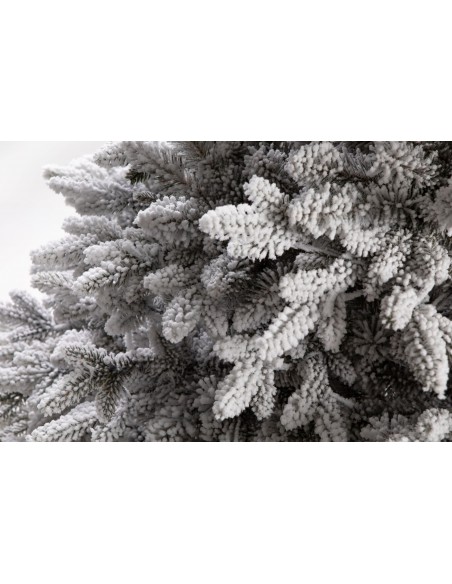 Sniegotā Lavinia egle