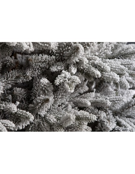 Sniegotā Lavinia egle