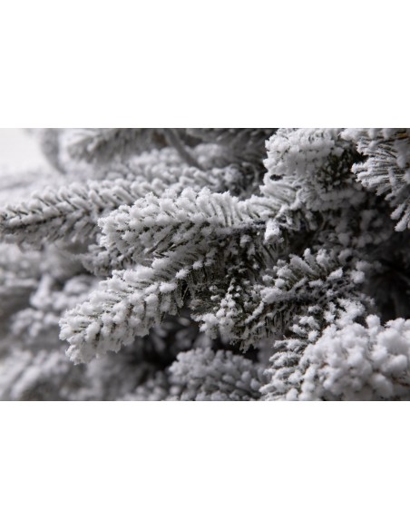 Lavinia kuusk Lumine