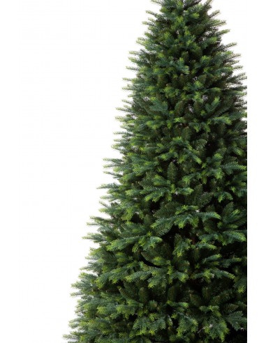 Kokkupandav kuusk - Tesiria kuusk - e-choinki.pl