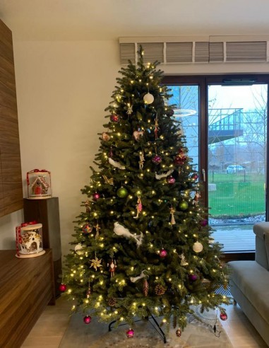 Tavra Prestige kuusk