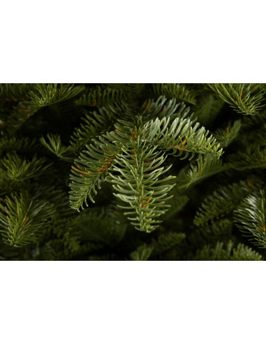 Antares Luxury 100% PE egle