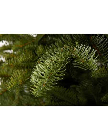 Antares Luxury 100% PE egle