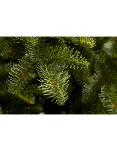 Antares Luxury 100% PE egle