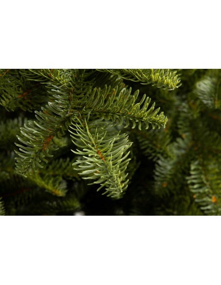 Antares Luxury 100% PE egle