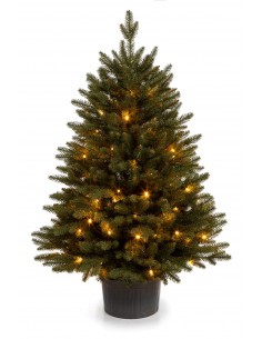 LED podā augošs Bonali egle