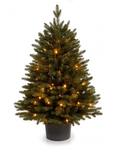 LED podā augošs Bonali egle