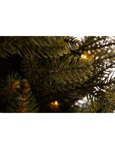 LED podā augošs Bonali egle