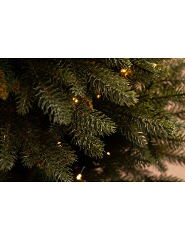 LED podā augošs Bonali egle