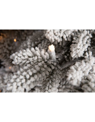 Sniega priedes Lavinia LED