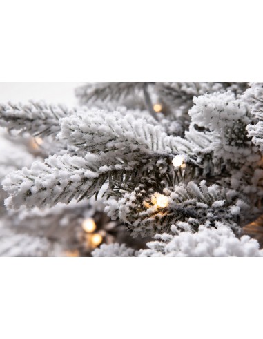 Snieguotas LED Lavinia eglė