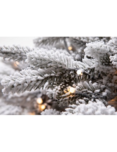 Snieguotas LED Lavinia eglė