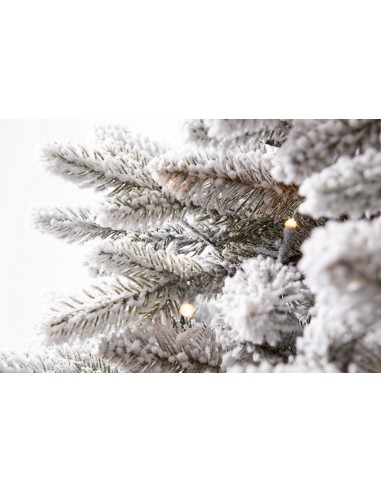 Sniega priedes Lavinia LED