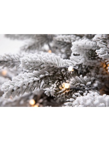 Lavinia kuusk Lumine LED