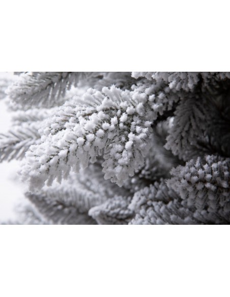 Snieguotas Naturi eglė