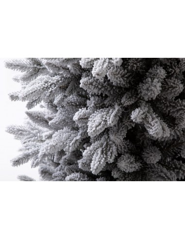 Sniegotais Naturi priedes