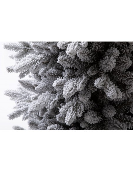 Sniegotais Naturi priedes